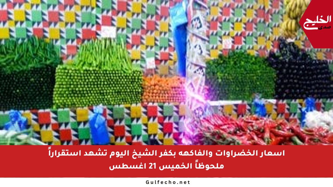 أسعار الخضراوات والفاكهة بكفر الشيخ اليوم تشهد استقراراً ملحوظاً الخميس 21 أغسطس
